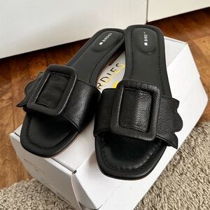 Birdies the Kiwi in Black Leather 7